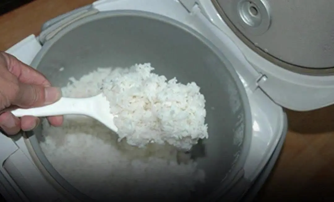 Everyone should be careful when reheating cold rice — here's why