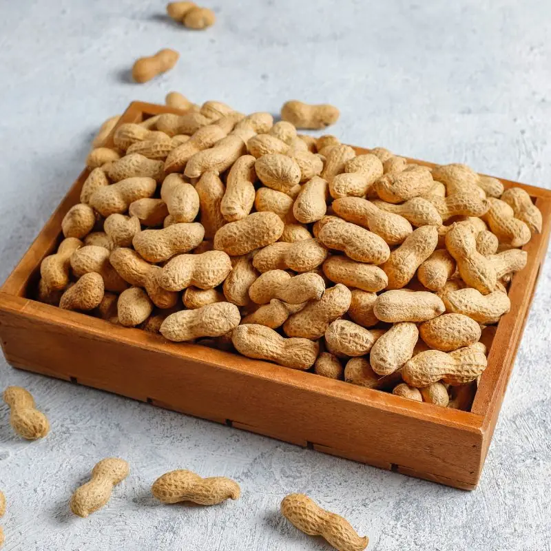 Medical Experts Reveal What Peanuts Might Be Doing to Your Body – See 1st Comment