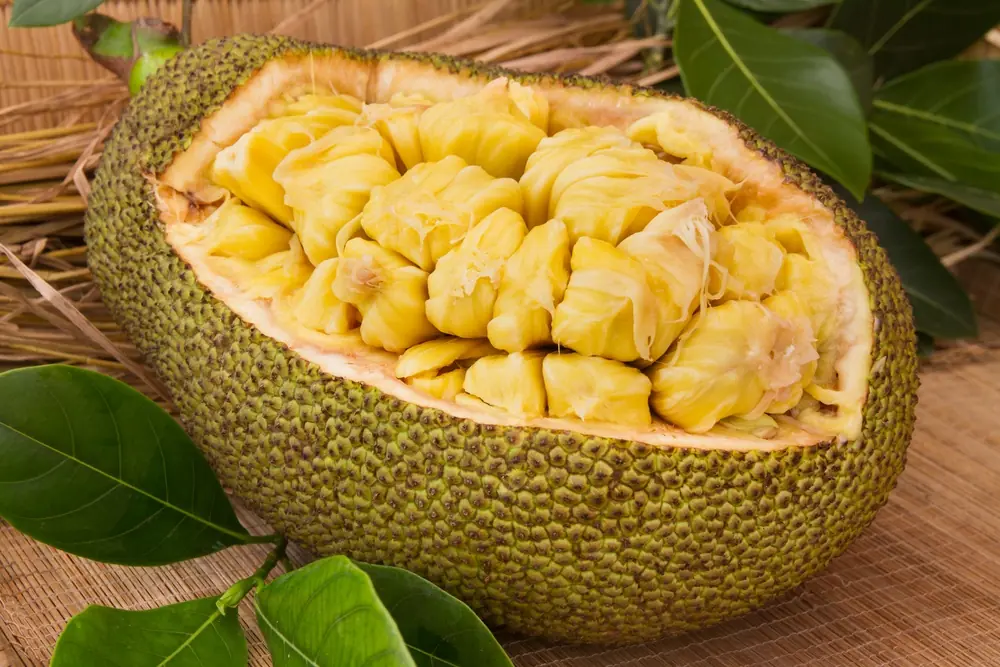 Who Shouldn’t Eat Jackfruit? 5 Risk Groups to Know