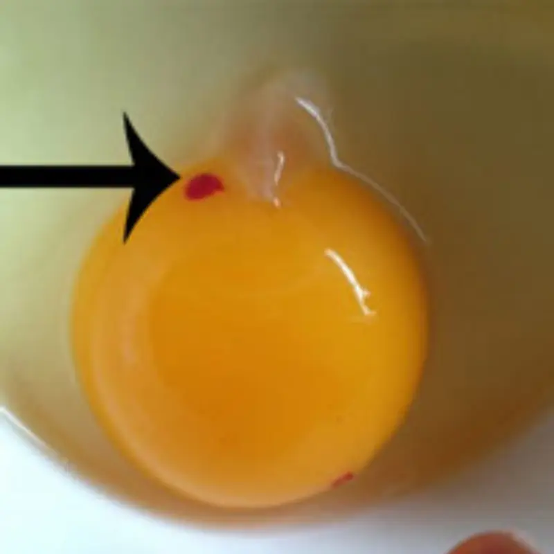 Red Spots in Eggs: Harmless Imperfection or Cause for Concern?