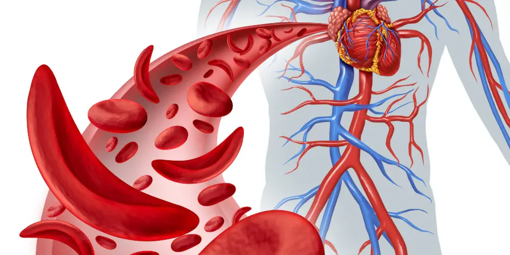 Struggling with Poor Circulation? Simple 20-Minute Habits That May Help Improve Blo.od Flow