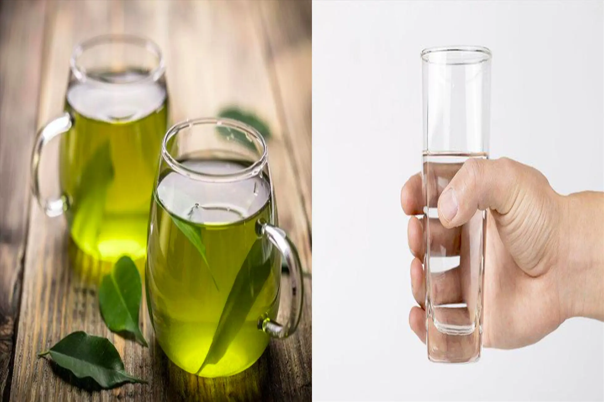 People Who Drink Water or Tea Regularly—Who Has the Longer Lifespan? The Answer May Change Your Mind