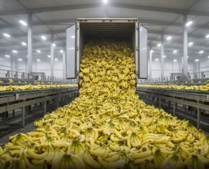 Experts Warn About Eating Bananas on an Empty Stomach