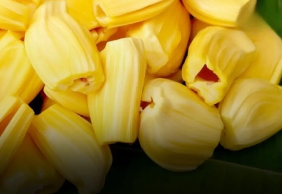 Health Experts Say These 5 Groups of People Should Avoid Jackfruit
