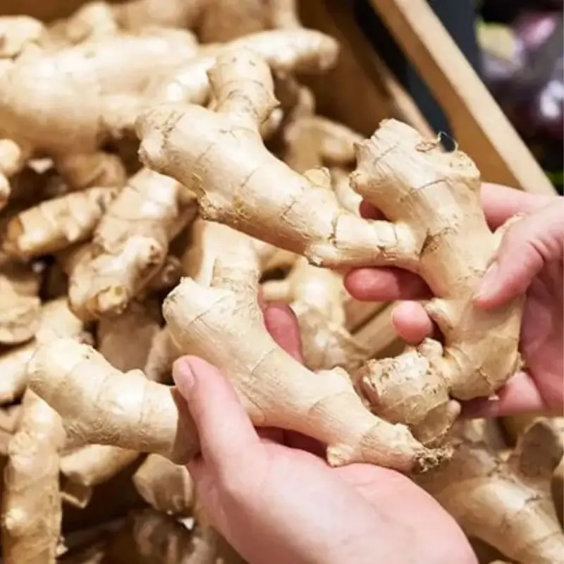 How to Keep Ginger Fresh for Months: Experts Share Simple Storage Tips