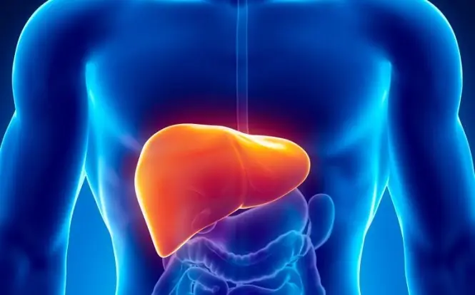 Your Skin Can Reveal Your Liver Health—5 Warning Signs You Shouldn’t Ignore