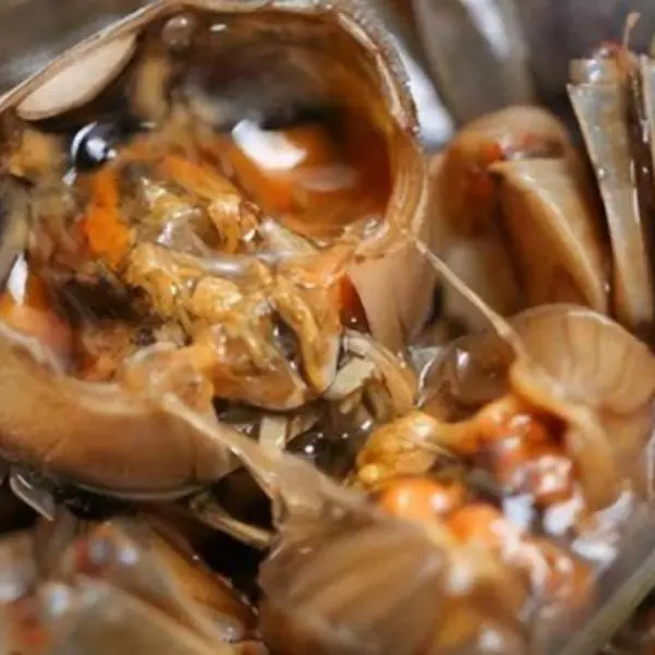 Doctors Warn: Common Foods That May Carry Parasites—and How to Stay Safe