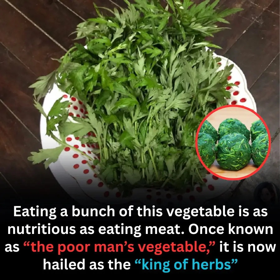 From Traditional Vegetable to Modern Superfood: A Nutritional Boost