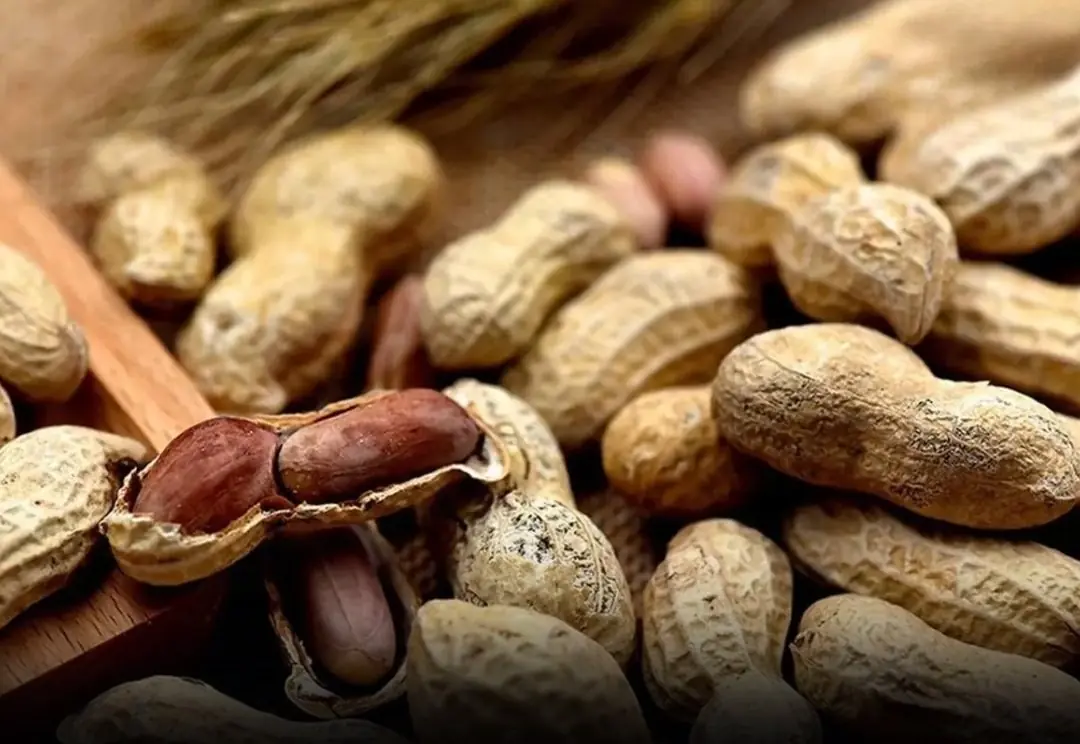 Medical Experts Reveal What Really Happens When You Eat Peanuts Daily