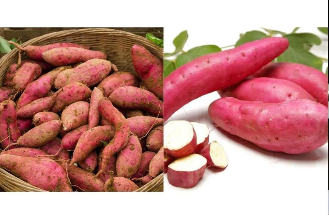 What Happens If You Eat Sweet Potatoes for Breakfast Long-Term?