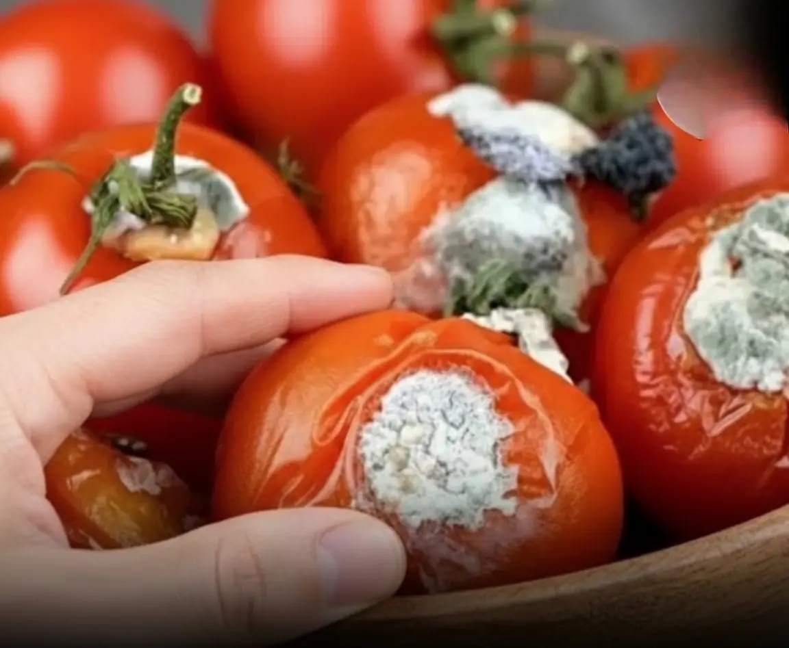 The useful uses of rot.ten tomatoes will surprise you