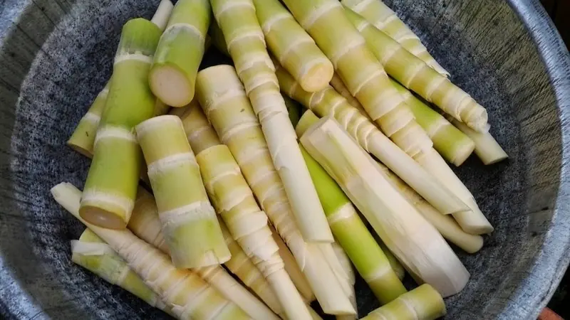 Doctor Issues Warning After Woman Suffers Kid.ney Failure Linked to Improperly Prepared Vegetable