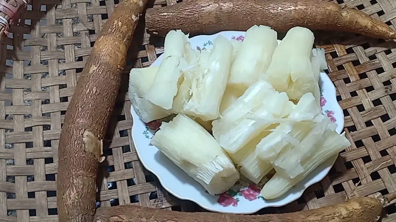 Over 200 People Di.e Each Year from the “World’s Dea.dliest Food”—Yet Nearly 500 Million Still Eat It