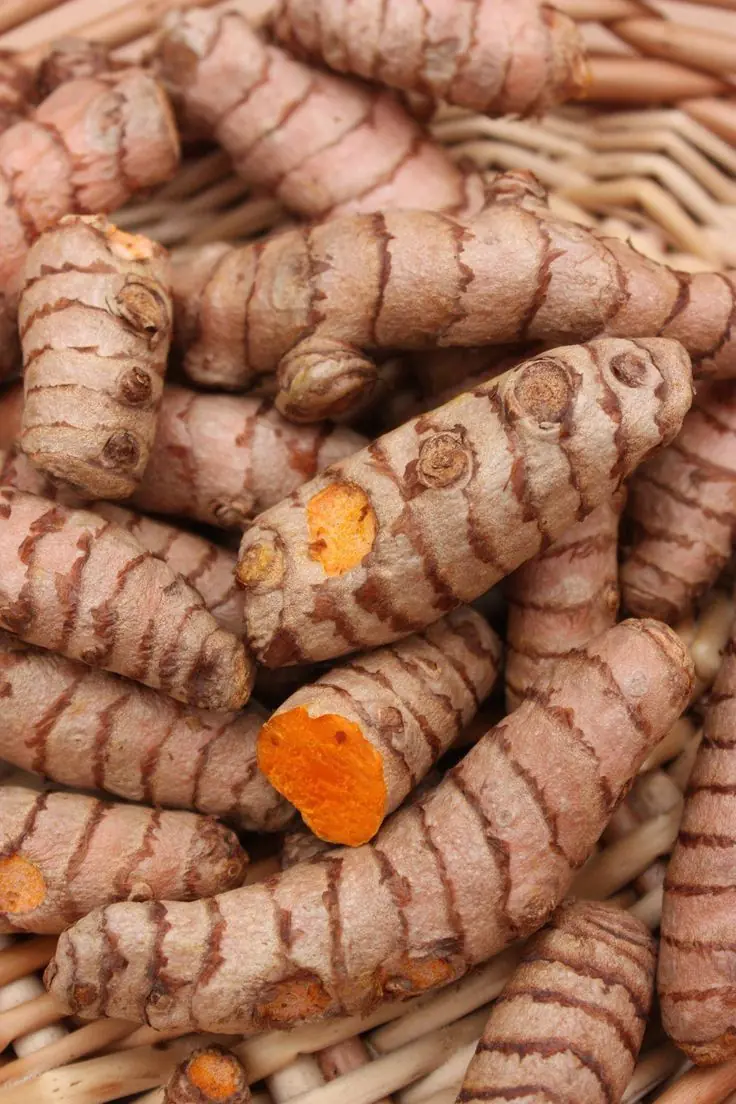 Turmeric: A Natural Ally for Women’s Health and Vitality