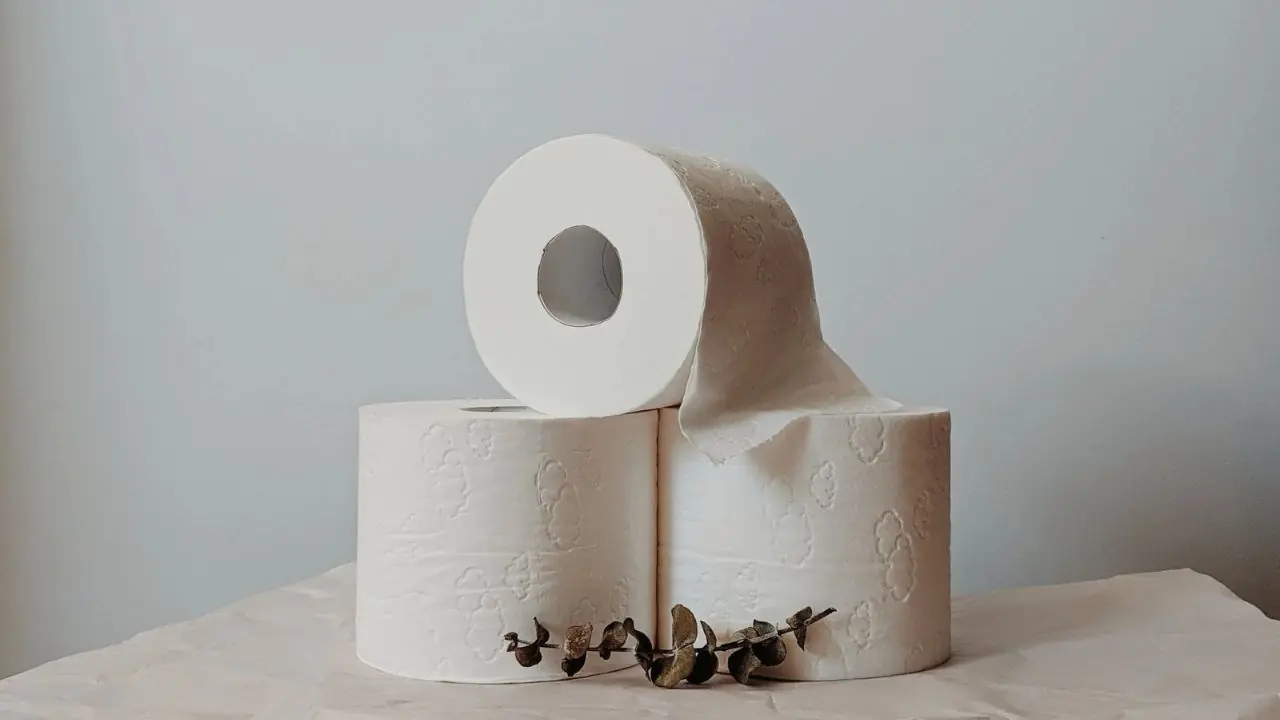 How to Save Money by Making the Most of Toilet Paper Rolls