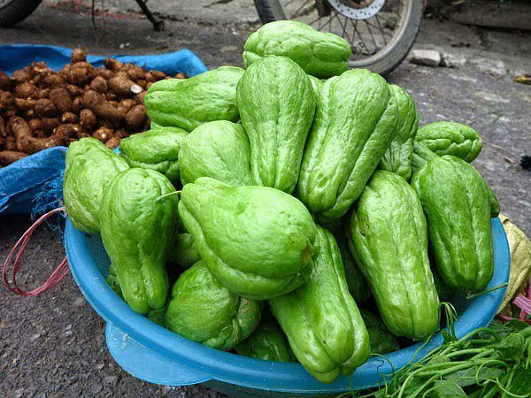 Discover the health benefits of chayote squash: 7 science-backed reasons to eat more