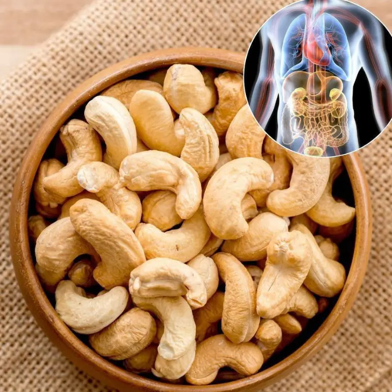 Cashews Are More Than a Snack: What Happens When You Eat Them Every Day