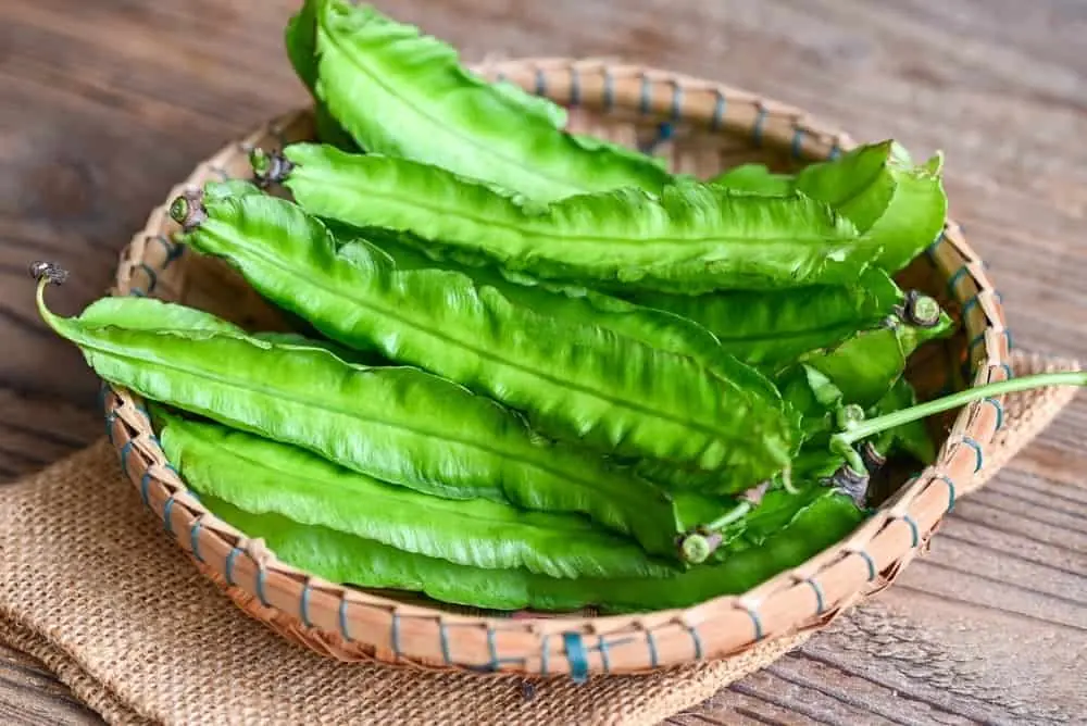 Doctors warn that consuming winged beans can lead to specific changes