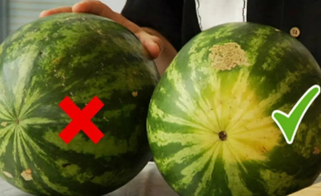 How to choose a ripe watermelon with red flesh, sweet taste, and a thin rind