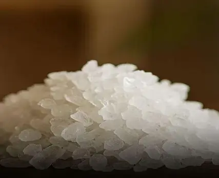 This Superfood Might Change Your Health — Here’s Why