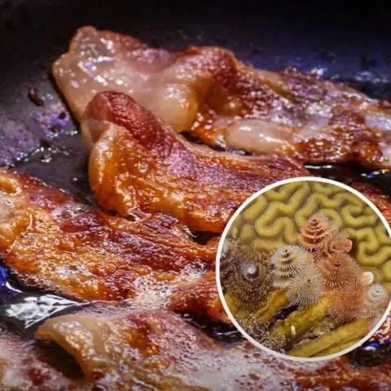 Man Develops “Pork Worms” in Brain: The Hidden Risk of Improper Cooking