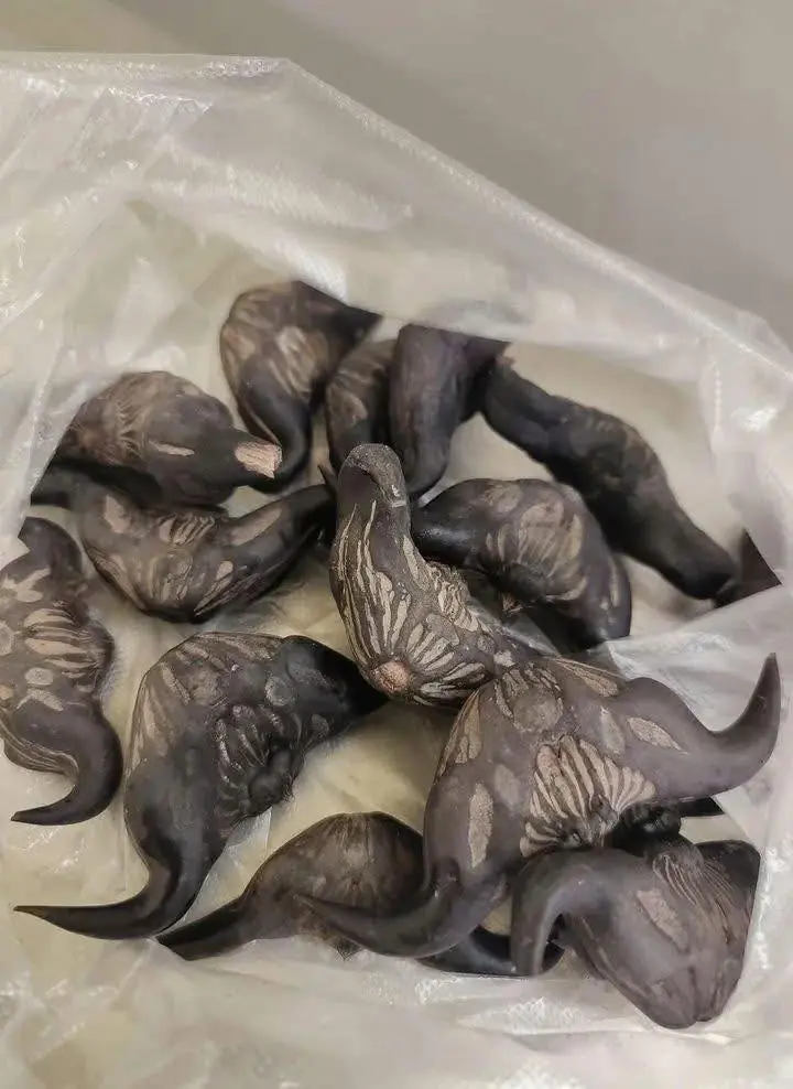 A Bag of These Showed Up From Next Door… Now What?