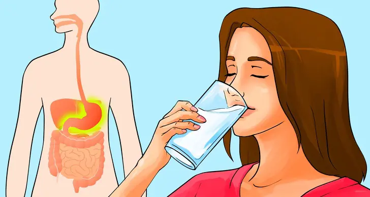 Water Fasting Explained: Regenerate Your Immunity, Slow Aging, and Lower Heart Attack Risk