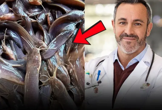 6 Types of Fish You Should Never Eat — No Matter the Price