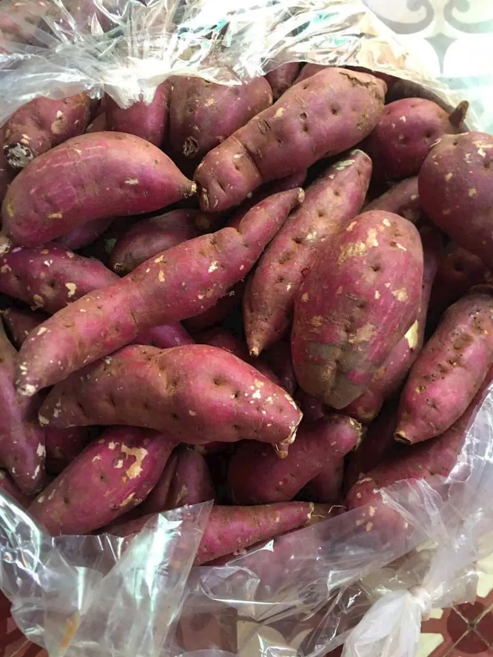 Think Twice Before Eating Sweet Potatoes—Read These 8 Facts First
