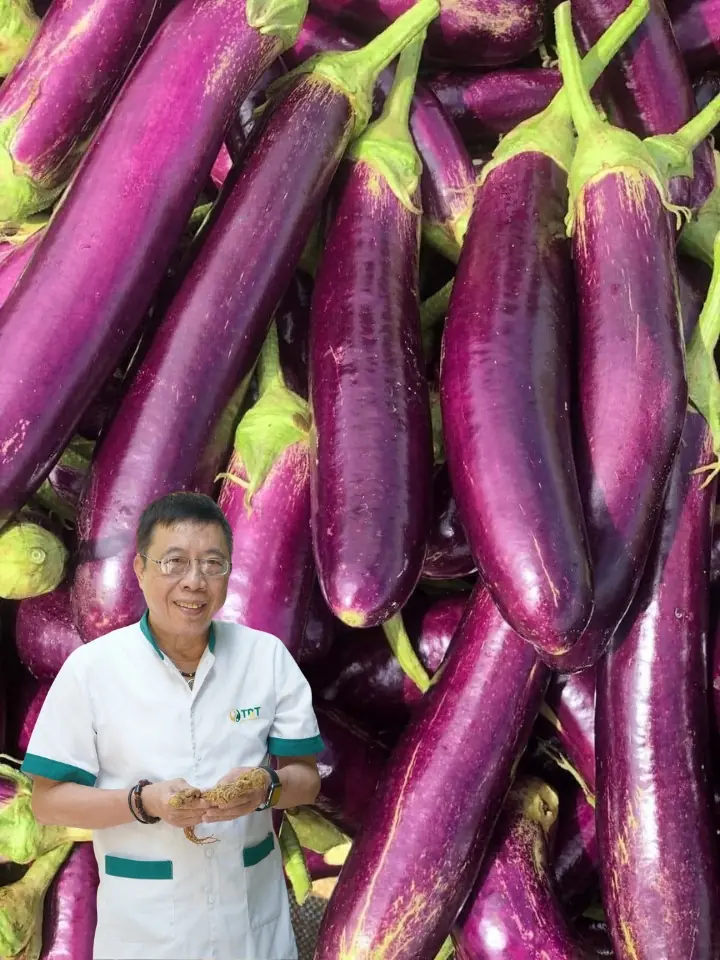 Why Some People Should Never Eat Eggplant: 4 Groups Explained