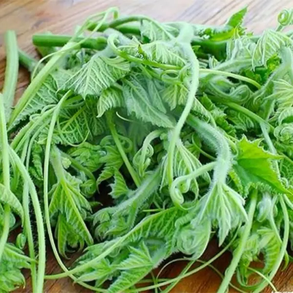 Do Some Vegetables Really Increase Cancer Risk? What You Need to Know