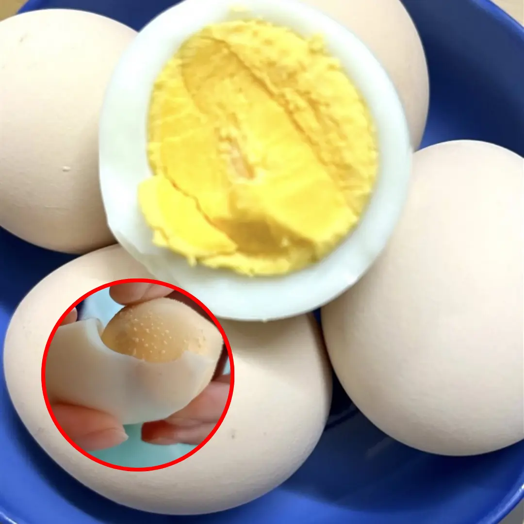 The Safe Daily Limit for Eggs—What You Need to Know