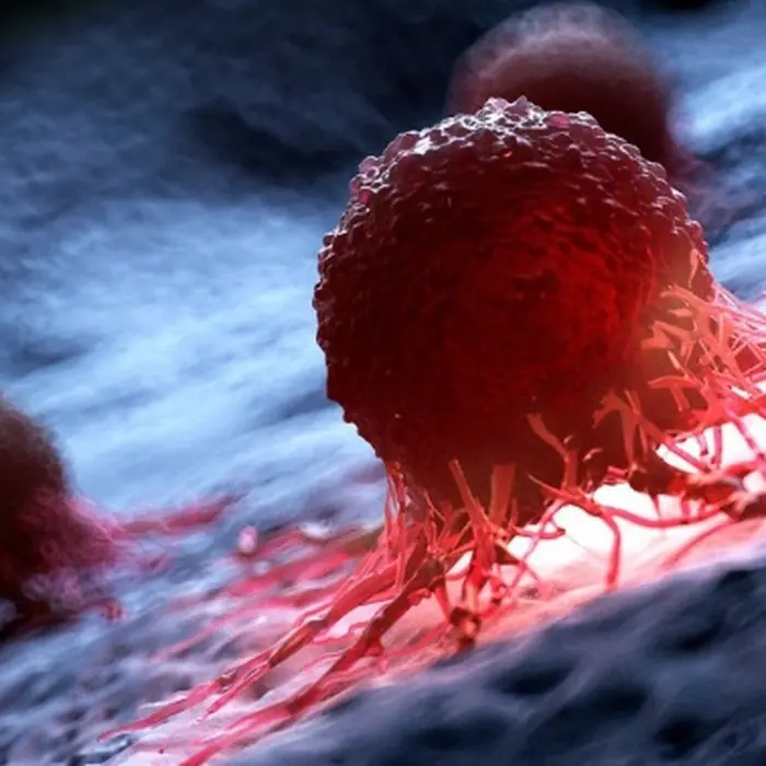 Early Warning Signs That Cancer Could Be Developing in Your Body