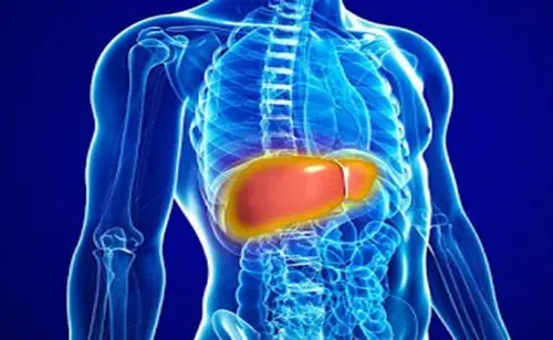 Fat.ty liver disease: key causes, signs to watch for, and how to improve your condition