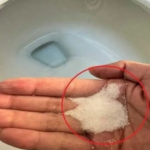 Putting Salt in Your Toilet: A Simple Trick or Just a Myth?