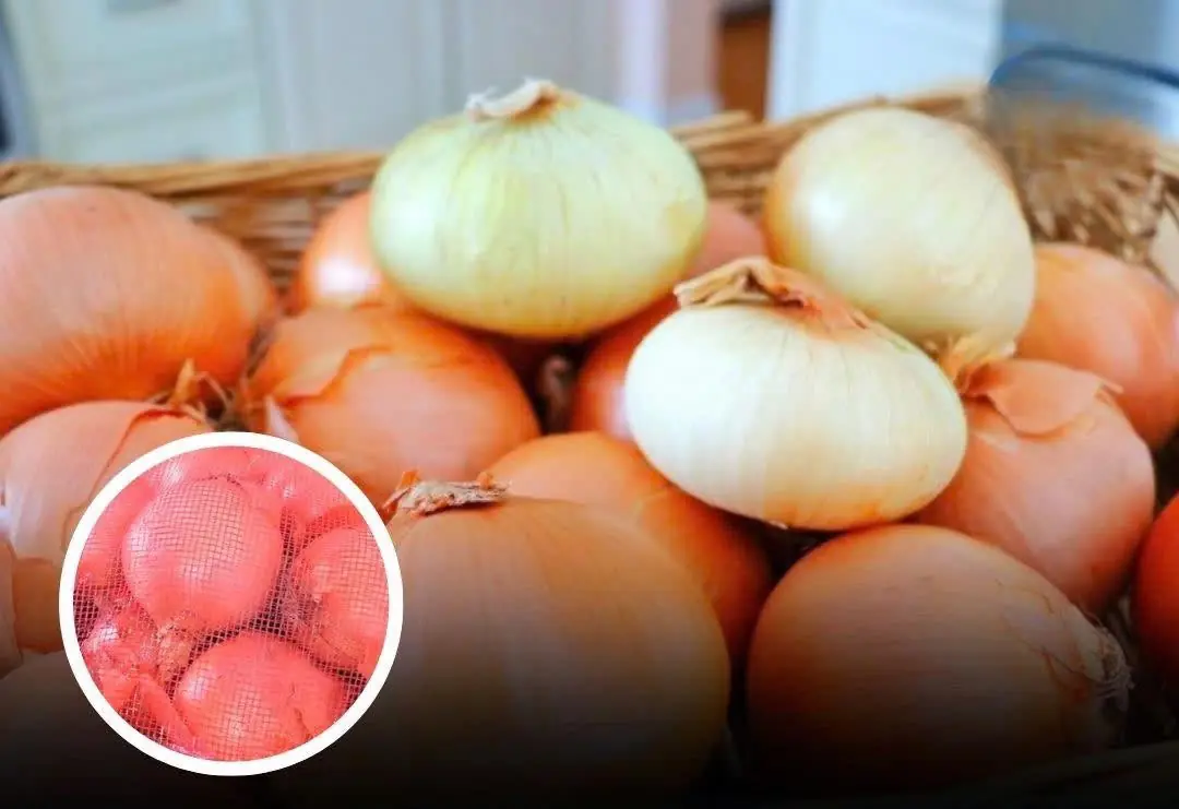 Here’s Why They Don’t Belong in the Fridge