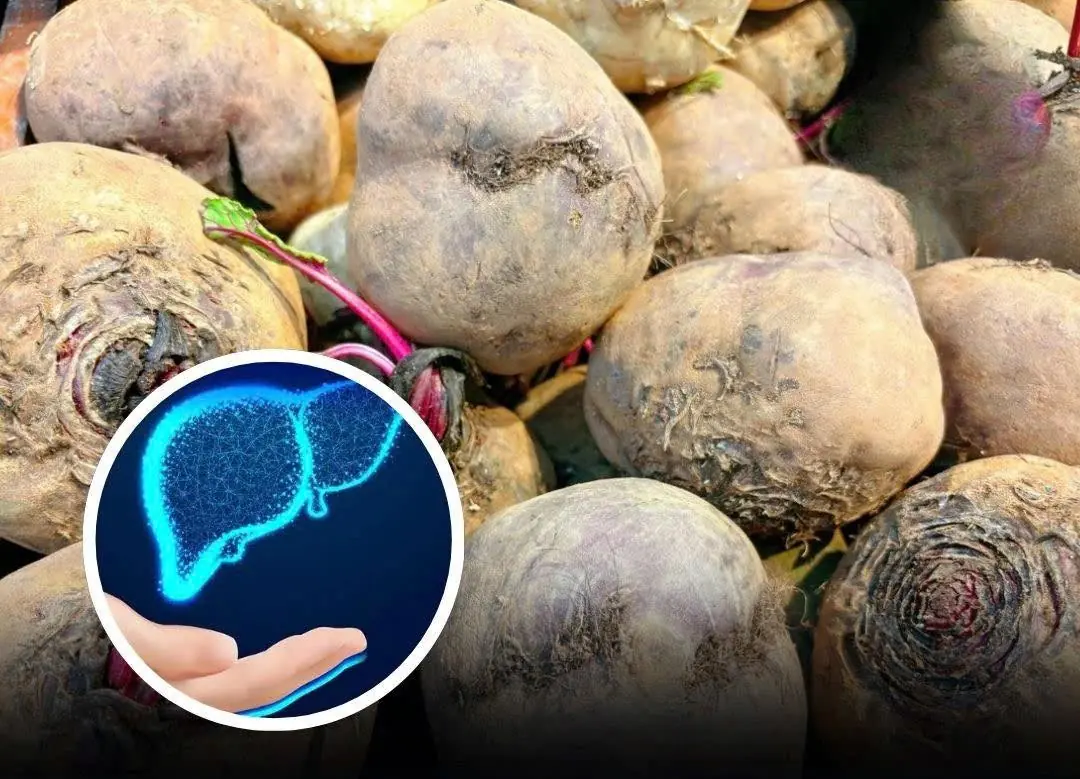 Nutritionists Reveal 5 Vegetables That Help Protect and Support Your Live