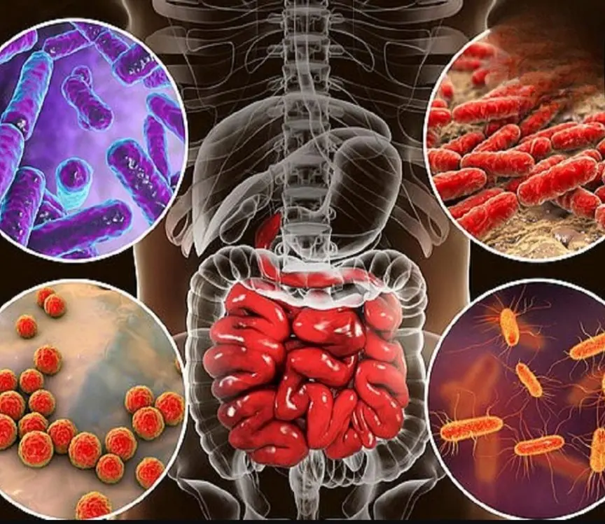 Begin your morning with these 5 foods to support intestinal health, enhance digestion, and protect your body...