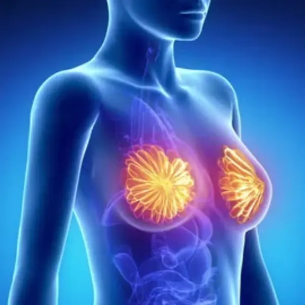 One Year Before Breast Can.cer, Your Body May Show Signs: What You Should Know