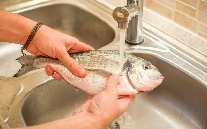 3 Easy and Effective Techniques to Defrost Fish Without Losing Quality