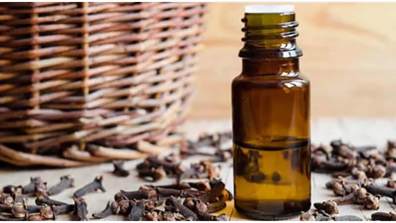 You’ve likely seen cloves before, but you may not realize just how beneficial clove water can be