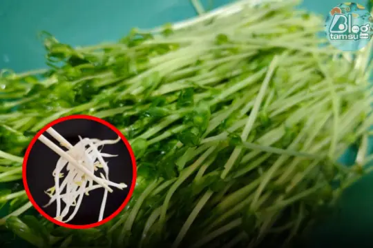 Watch now to know how to avoid it