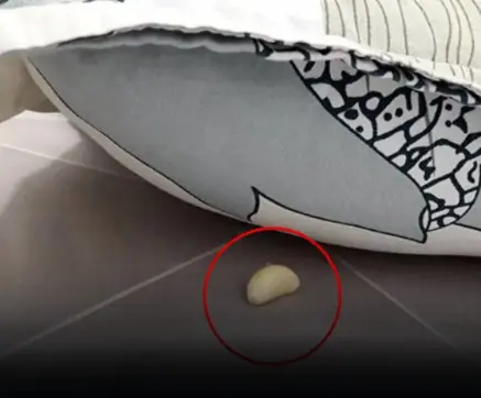 Why should garlic be placed at the head of the bed when sleeping at night?