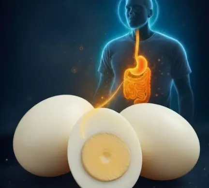 What Happens When You Eat 3 Whole Eggs Every Day…You’ll Be Surprised What It Does To Your Body!