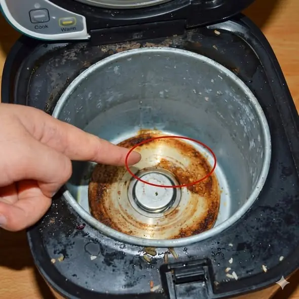 How to Eliminate a Smelly Rice Cooker in 15 Minutes Using One Simple Kitchen Ingredient