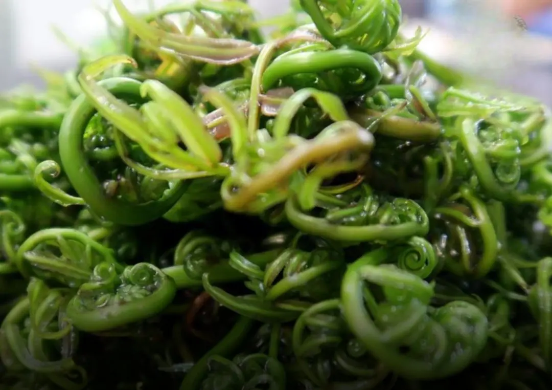 3 vegetables that may cause can.cer avoid them now