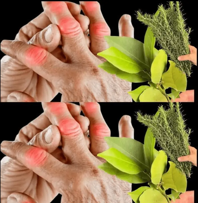 Bay Leaves: A Natural Remedy for Joint Pain and Mobility? Here’s What You Should Know