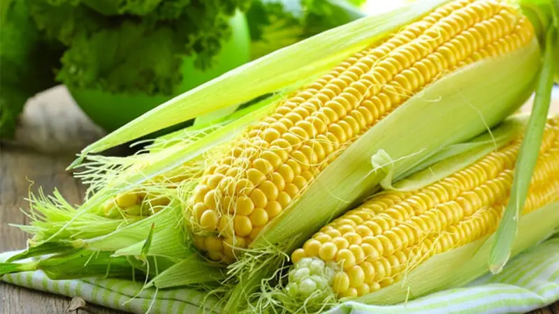 8 health benefits of corn that make it a superfood worth having!