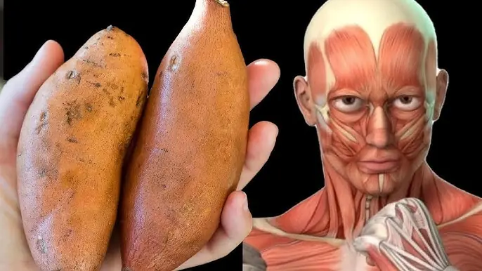 What Happens to Your Body When You Eat Japanese Sweet Potatoes Regularly