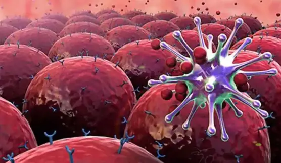 8 of the Best Anti-Cancer Foods. It’s Time to Start Adding them to Your Diet